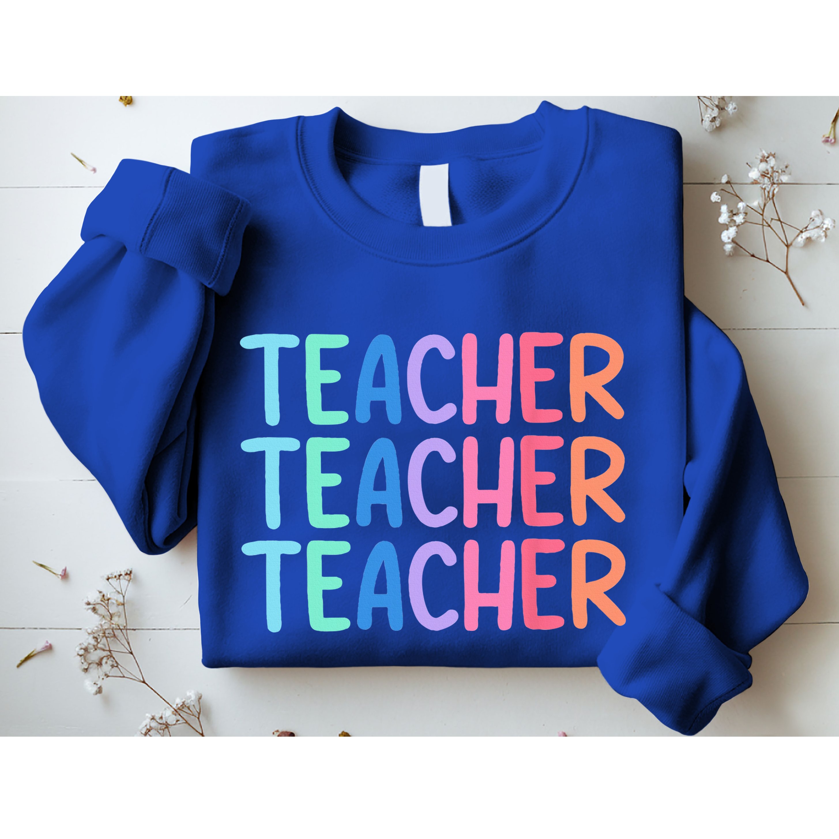 Retro Teacher Daisy Colorful Elementary School Teacher Sweatshirt