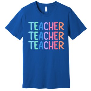 Retro Teacher Daisy Colorful Elementary School Teacher Premium T-Shirt