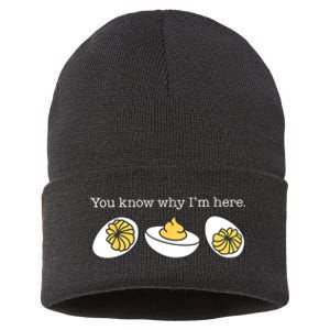 Retro Thanksgiving Dinner You Know Why IM Here Deviled Egg Sustainable Knit Beanie