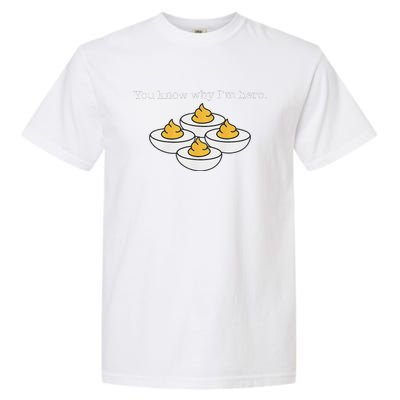 Retro Thanksgiving Dinner You Know Why IM Here Deviled Egg Garment-Dyed Heavyweight T-Shirt