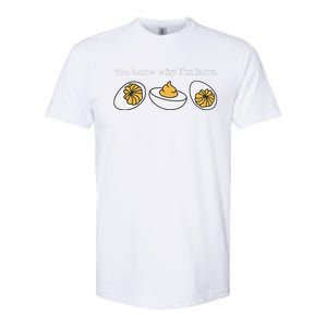 Retro Thanksgiving Dinner You Know Why IM Here Deviled Egg Softstyle CVC T-Shirt