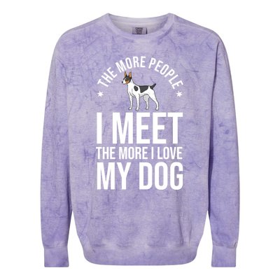 Rat Terrier Dog Puppies Owner Lover Sweatshirt Colorblast Crewneck Sweatshirt