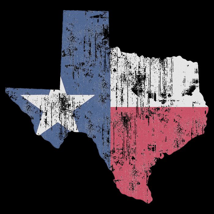 Retro Texas Flag Map Bag