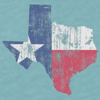 Retro Texas Flag Map Sueded Cloud Jersey T-Shirt