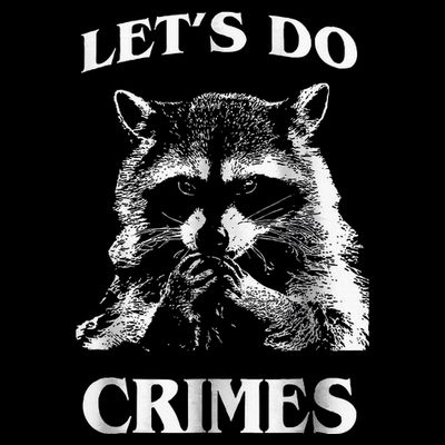 Raccoon Trash Funny Racoon LetS Do Crimes Cute Animal T-Shirt