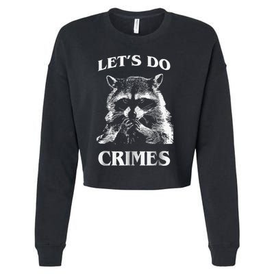 Raccoon Trash Funny Racoon LetS Do Crimes Cute Animal Cropped Pullover Crew