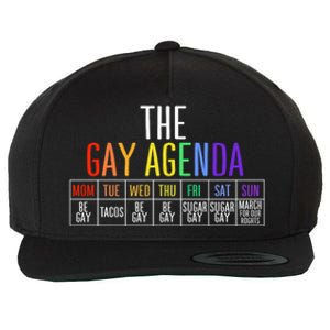 Rainbow The Gay Weekly Agenda Funny Lgbt Pride Gift Wool Snapback Cap