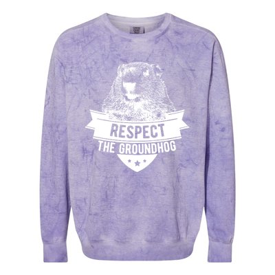 Respect The Groundhog Gift Colorblast Crewneck Sweatshirt