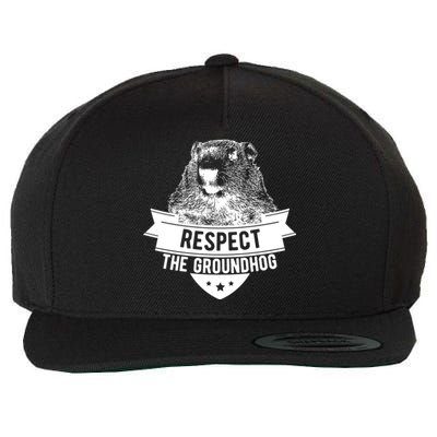 Respect The Groundhog Gift Wool Snapback Cap