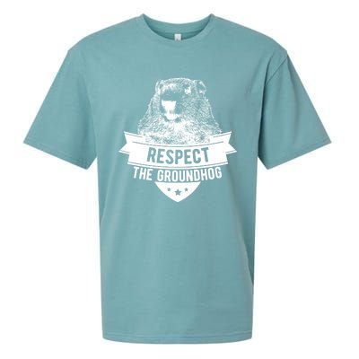 Respect The Groundhog Gift Sueded Cloud Jersey T-Shirt