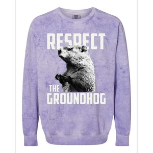 Respect The Groundhog Ground Hog Day Colorblast Crewneck Sweatshirt