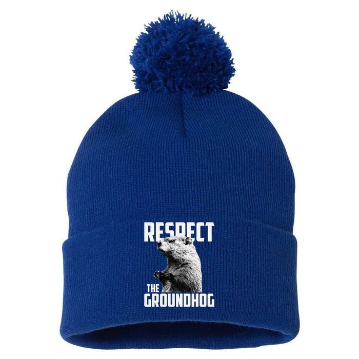 Respect The Groundhog Ground Hog Day Pom Pom 12in Knit Beanie