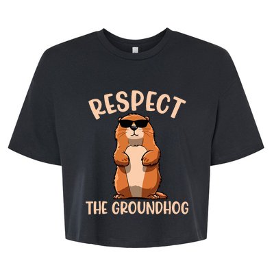 Respect The Groundhog Funny Woodchuck Groundhog Day Bella+Canvas Jersey Crop Tee