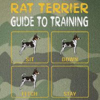 Rat Terrier Guide To Training Dog Obedience Legacy Tie Dye Trucker Hat