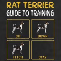 Rat Terrier Guide To Training Dog Obedience 7 Panel Mesh Trucker Snapback Hat
