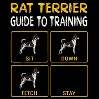Rat Terrier Guide To Training Dog Obedience Pom Pom 12in Knit Beanie