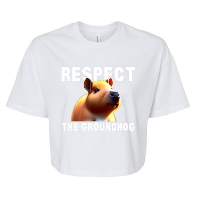 Respect The Groundhog GroundHog Day Bella+Canvas Jersey Crop Tee