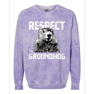 Respect The Groundhog Funny Woodchuck Colorblast Crewneck Sweatshirt