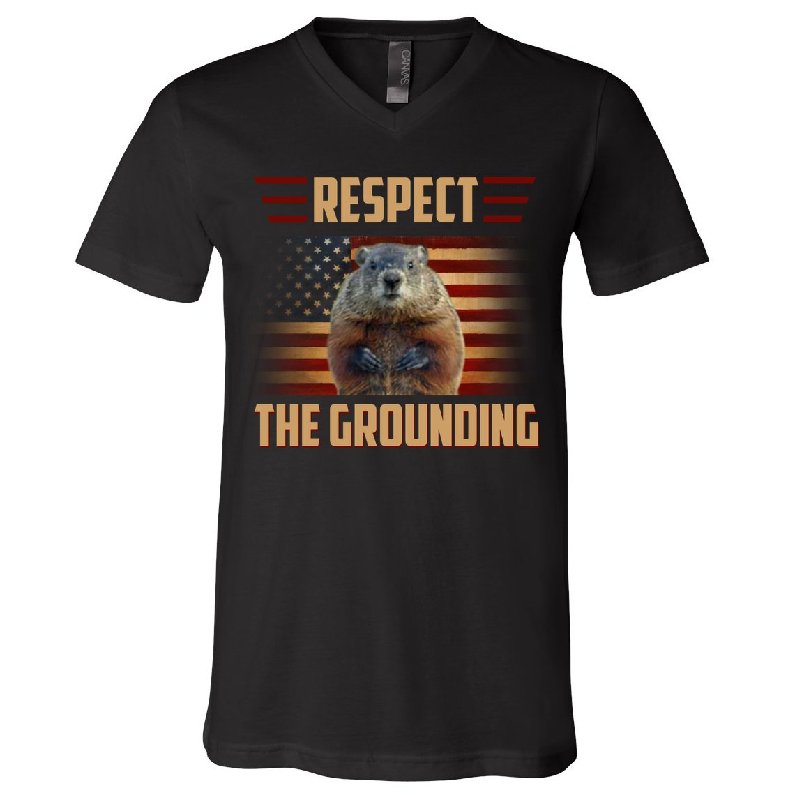 Respect The Grounding, Groundhog Day V-Neck T-Shirt