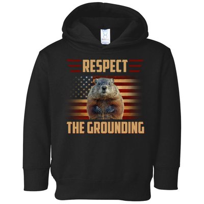 Respect The Grounding, Groundhog Day Toddler Hoodie