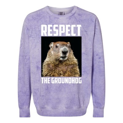 Respect The Groundhog Woodchuck Photo Ground Hog Day Colorblast Crewneck Sweatshirt