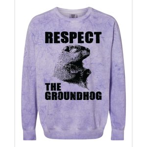 Respect The Groundhog Woodchuck Groundhog Day Colorblast Crewneck Sweatshirt