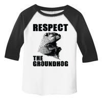 Respect The Groundhog Woodchuck Groundhog Day Toddler Fine Jersey T-Shirt