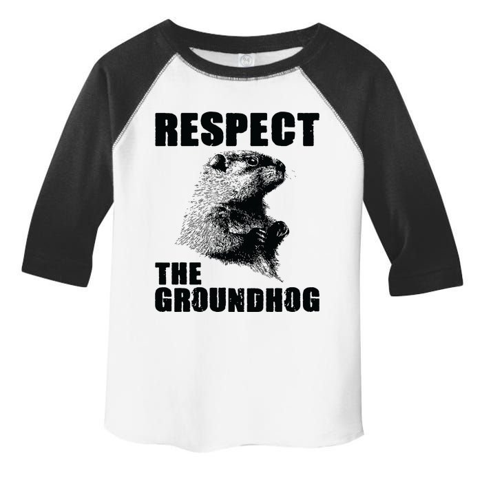 Respect The Groundhog Woodchuck Groundhog Day Toddler Fine Jersey T-Shirt