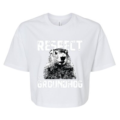 Respect The Groundhog Funny Woodchuck Bella+Canvas Jersey Crop Tee