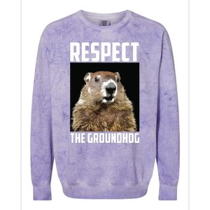 Respect The Groundhog Woodchuck Photo Groundhog Day Colorblast Crewneck Sweatshirt