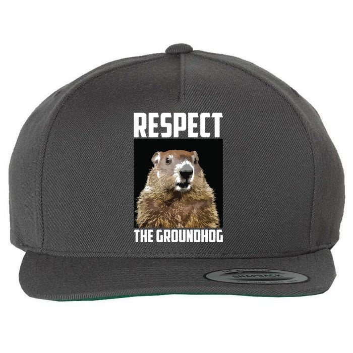 Respect The Groundhog Woodchuck Photo Groundhog Day Wool Snapback Cap