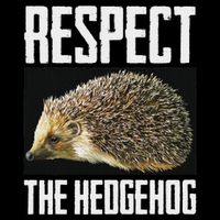 Respect The Hedgehog Cool Spiny Mammal Photo Graphic T-Shirt