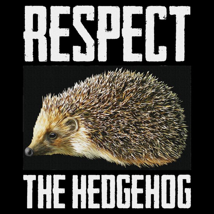 Respect The Hedgehog Cool Spiny Mammal Photo Graphic T-Shirt
