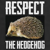 Respect The Hedgehog Cool Spiny Mammal Photo Graphic 11oz C Handle Ceramic Mug