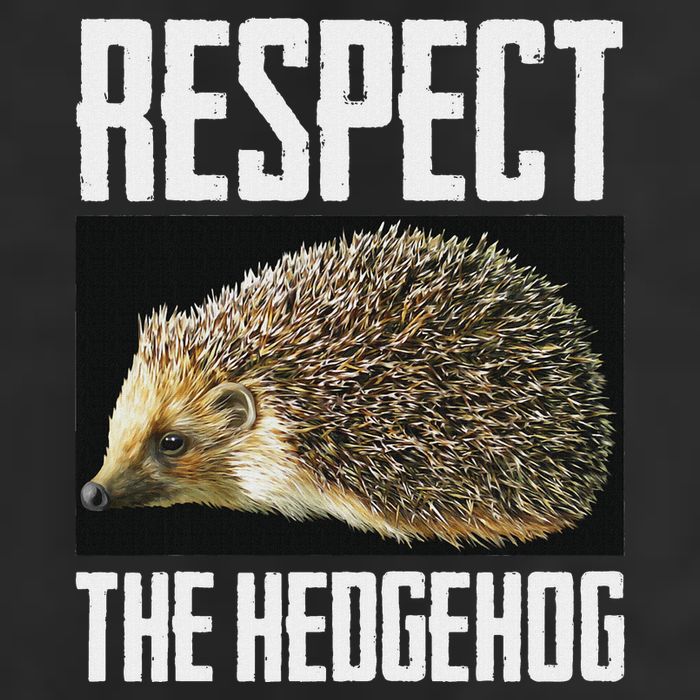 Respect The Hedgehog Cool Spiny Mammal Photo Graphic 11oz C Handle Ceramic Mug