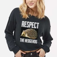 Respect The Hedgehog Cool Spiny Mammal Photo Graphic Cropped Pullover Crew