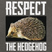 Respect The Hedgehog Cool Spiny Mammal Photo Graphic Cotton Canvas Backpack