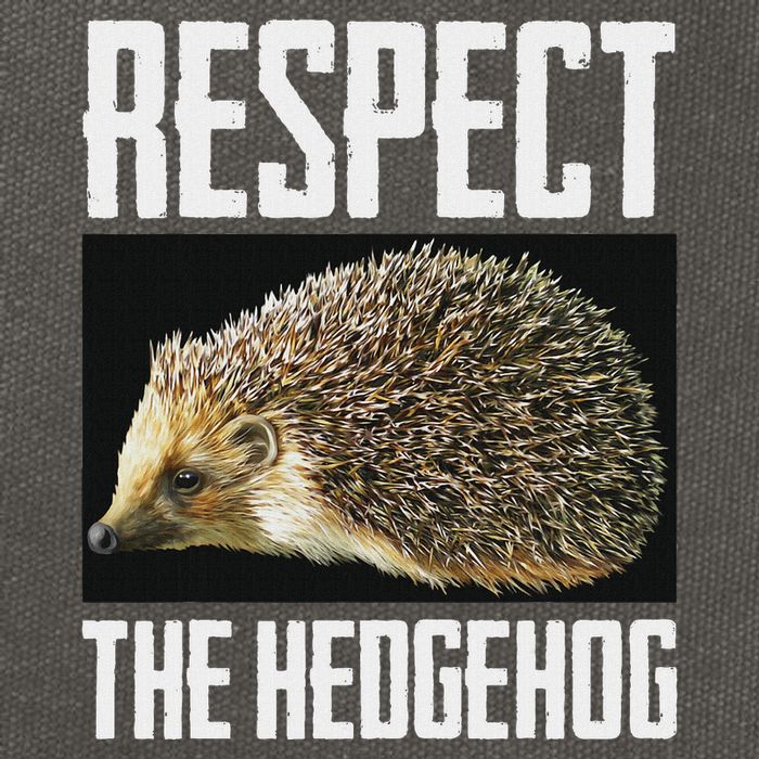 Respect The Hedgehog Cool Spiny Mammal Photo Graphic Cotton Canvas Backpack