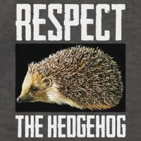 Respect The Hedgehog Cool Spiny Mammal Photo Graphic Vector Backpack