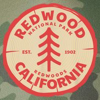 Redwood Trees In The National Forest TShirt Legacy Tie Dye Trucker Hat