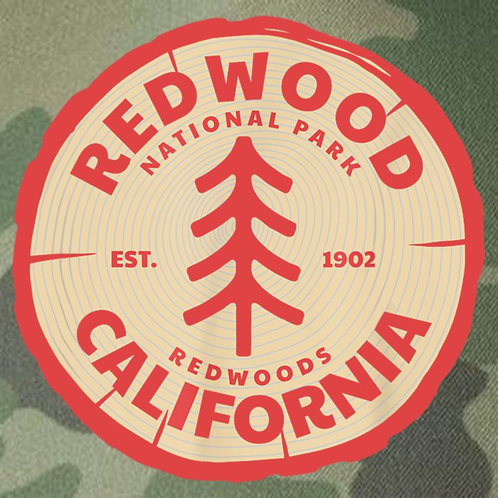 Redwood Trees In The National Forest TShirt Legacy Tie Dye Trucker Hat