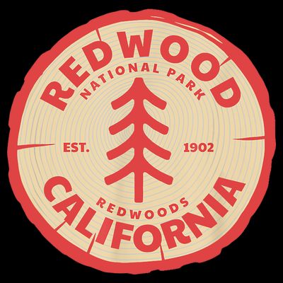 Redwood Trees In The National Forest TShirt T-Shirt