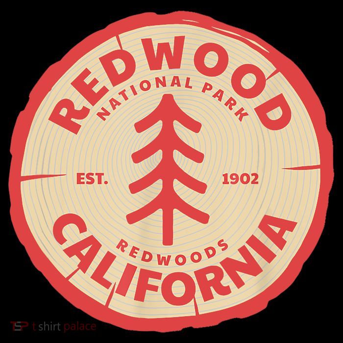 Redwood Trees In The National Forest TShirt T-Shirt