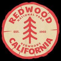 Redwood Trees In The National Forest TShirt Sustainable Bucket Hat