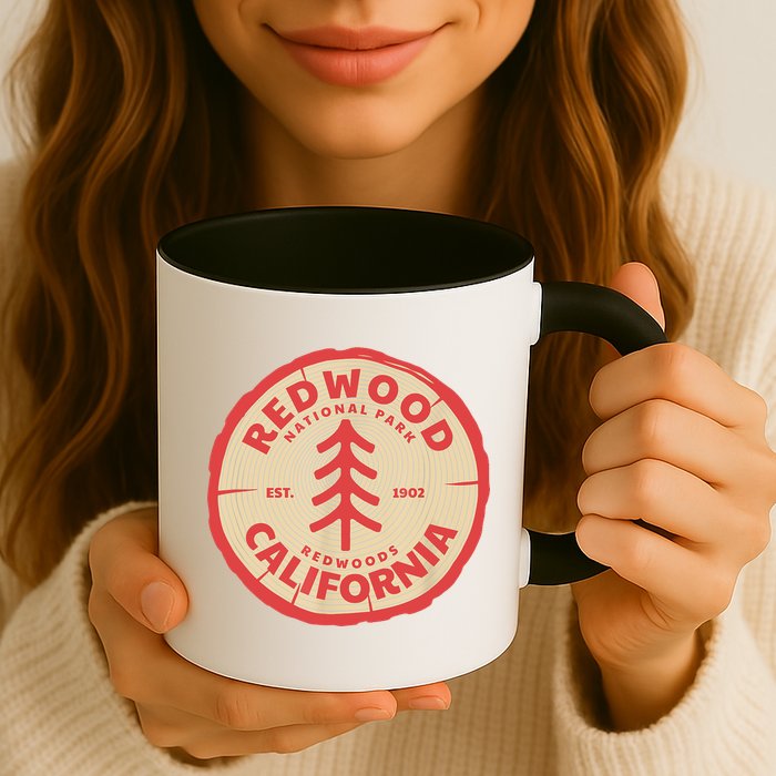 Redwood Trees In The National Forest TShirt Mug