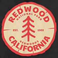 Redwood Trees In The National Forest TShirt Microfiber Hand Towel