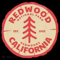 Redwood Trees In The National Forest TShirt Kids T-Shirt