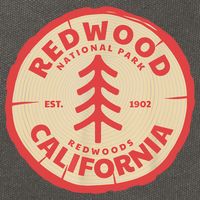 Redwood Trees In The National Forest TShirt Cotton Canvas Backpack