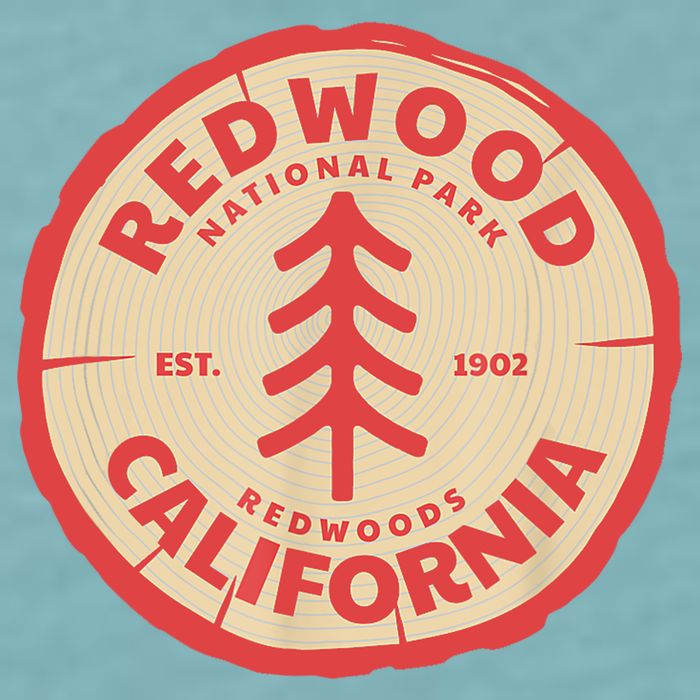 Redwood Trees In The National Forest TShirt Sueded Cloud Jersey T-Shirt