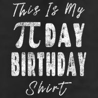 Retro This Is My Pi Day Birthday Shirt Pi Symbol 3 14 Garment-Dyed Fleece Hoodie
